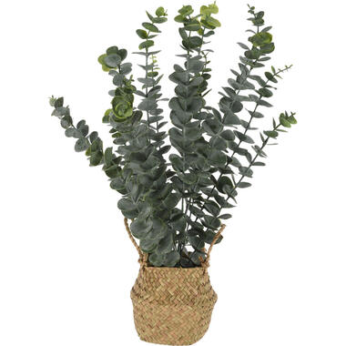 Home & Styling Kunstplant Eucalyptus - met Rieten Mand - 50 cm product