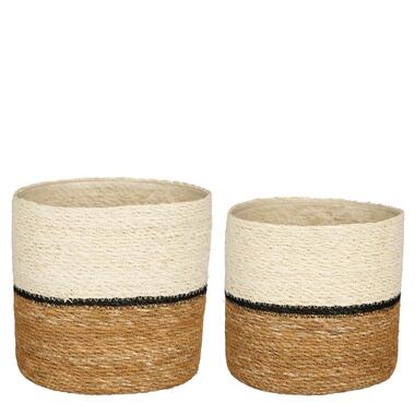 Mica Decorations Damian Plantenmand - Set van 2 - Ø20 cm - Zeegras product