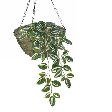 Vd Leeden Hangmand Wilg – D30 x H15 cm - gevlochten - hangend product