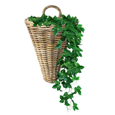 Van der Leeden Wandhanger mand - bruin - 30 x 26 x 37 cm - rotan product