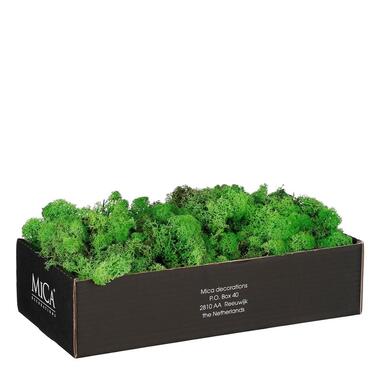 Mica Decorations Mossy Decoratiemos - 500 g - Groen product