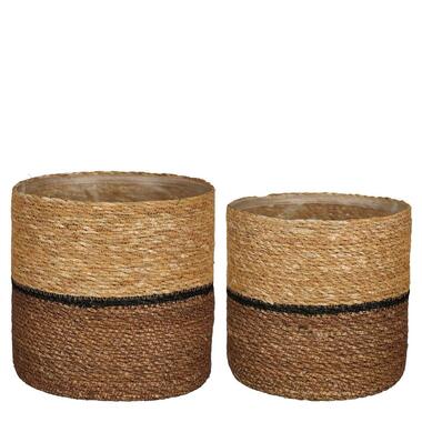 Mica Decorations Damian Plantenmand - Set van 2 - Ø20 cm - Zeegras product