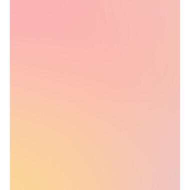 ESTAhome fotobehang - kleuroverloop - roze - 2.5 x 2.79 m - 159520 product