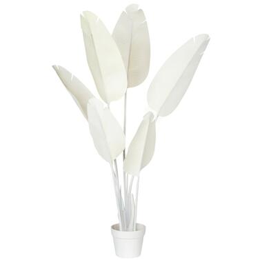 BANANA TREE - Kunstplant - Wit - 123 cm - Synthetisch materiaal product