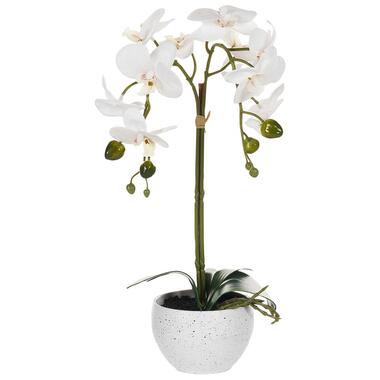 ORCHID - Kunstplant - Wit/Groen - 42 cm - Synthetisch product