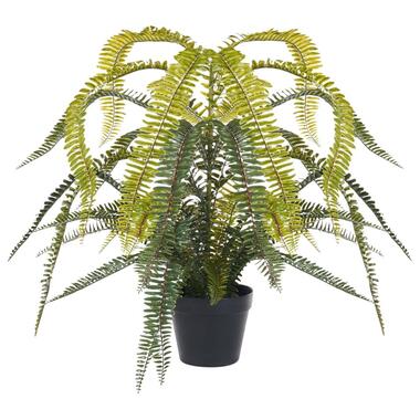 FERN LEAF PLANT - Kunstplant - Groen - 105 cm - Synthetisch product