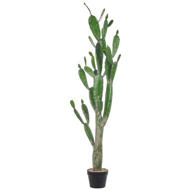 OPUNTIA CACTUS - Kunstplant - Groen - 150 cm - Kunststof