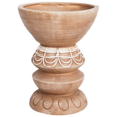 DISPORUM - Bloempot - Lichtbruin - Magnesium