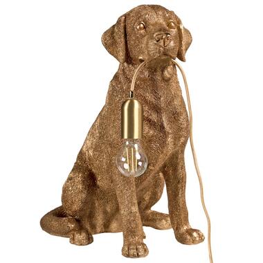 MARLEY - Tafellamp - Goud - Polyresin product