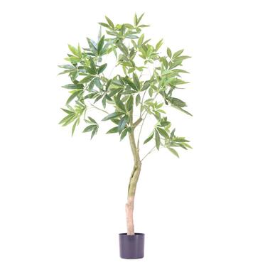 Kunstplant pachira - Hoogte 120cm product
