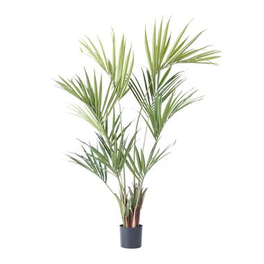 Kunstplant kentia - Hoogte 150cm product