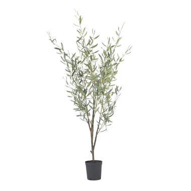 Kunstplant olijfboom - Hoogte 150cm product