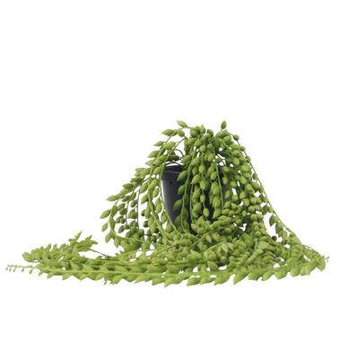 Kunstplant senecio - Hoogte 90cm product