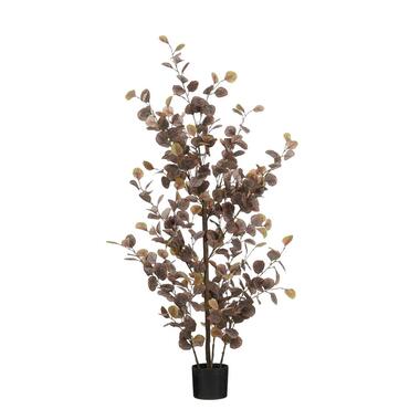 Mica Decorations Eucalyptus Kunstplant - H150 x Ø30 cm - Brons product