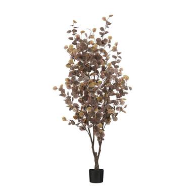 Mica Decorations Eucalyptus Kunstplant - H180 x Ø80 cm - Brons product