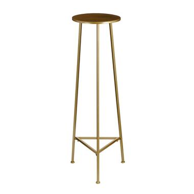 Mica Decorations Adine Planttafel - H120 x Ø35 cm - Goud product