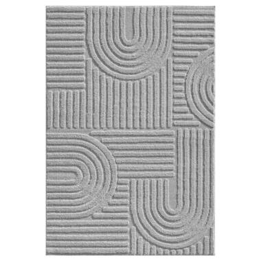 Modern Japandi Vloerkleed - Grijs - Boho Scandinavisch - 160x230 cm Laagpolig product