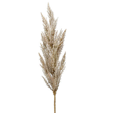 Emerald Pampasgras kunst pluim steel/tak - naturel - 92 cm product