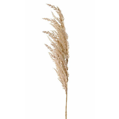 TopArt Pampasgras kunst pluim steel/tak - creme wit - 100 cm product
