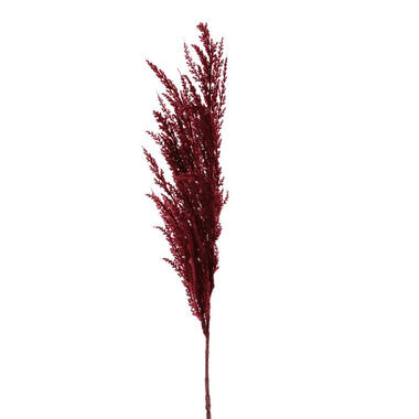 TopArt Pampasgras kunst pluim steel/tak - bordeaux rood - 100 cm product