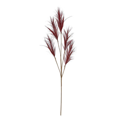 House of SeasonsA pluimgras kunst stengels - bordeaux rood - 98 cm product