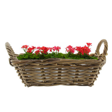 Van der Leeden Mand met hengsels - bruin - 37 x 22 x 12 cm -rotan product