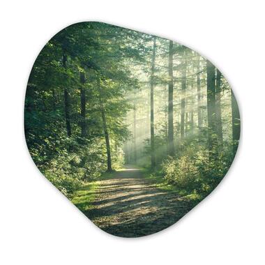 MuchoWow Wand decoratie 90x90cm Bos Pad Zon Bomen Groen product