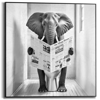 Schilderij Elephant Toilet - 50x50cm - Zwart-Wit product