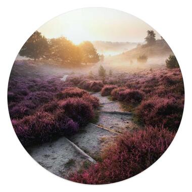 Glasschilderij Wandelpad langs de heide - Ø 50cm - Paars product