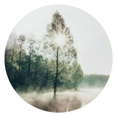 Glasschilderij Zon door de boom - Ø 70cm - Groen product