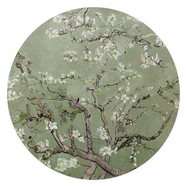 Glasschilderij Van Gogh amandelbloesem - Ø 70cm - Groen product