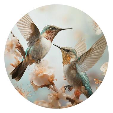 Glasschilderij Kolibri in de lente - Ø 70cm - Beige product