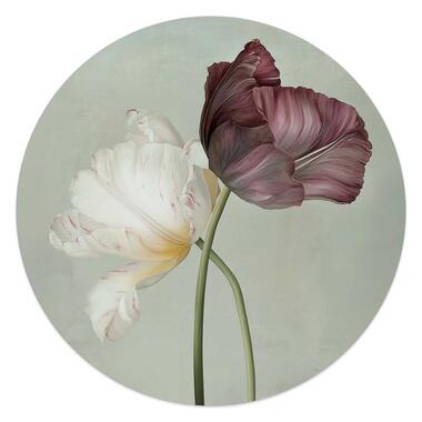 Glasschilderij Tulpen - Ø 50cm - Groen product