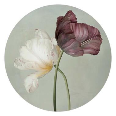Glasschilderij Tulpen - Ø 70cm - Groen product