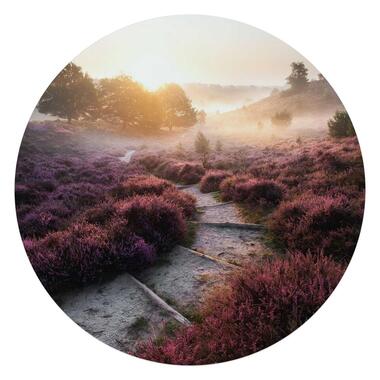 Glasschilderij Wandelpad langs de heide - Ø 70cm - Paars product