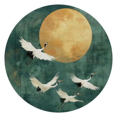 Glasschilderij Kraanvogels in de nacht - Ø 70cm - Groen product