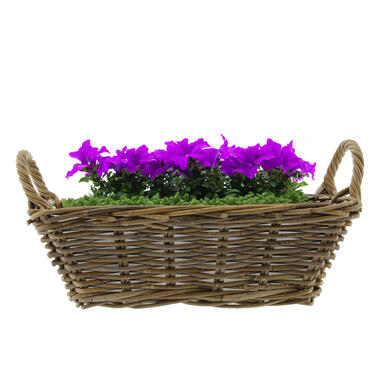 Van der Leeden Mand met hengsels - bruin - 42 x 27 x 14 cm -rotan product