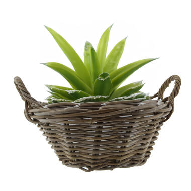 Van der Leeden Mand met hengsels - bruin - D43 x H18 cm -rotan product