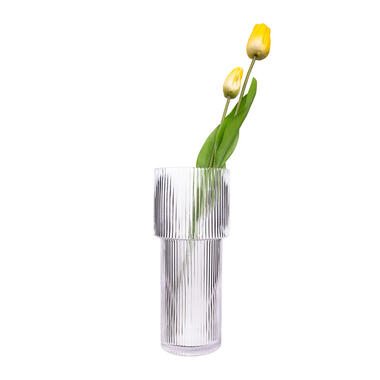 QUVIO Cilinder vaas - Smal - Glas - 24,5 cm - Transparant product