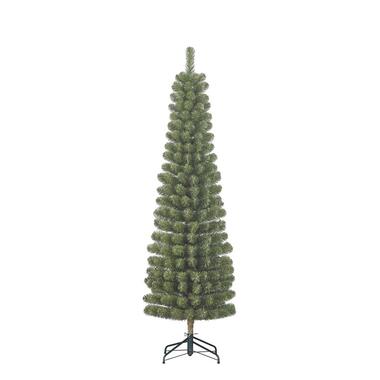 Black Box Trees Charlton Pilar kerstboom groen TIPS 362 - h215xd56cm