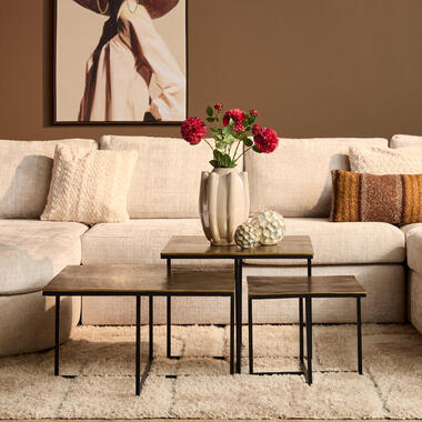 StarFurn - Joelle salontafel set van 3 - cognac