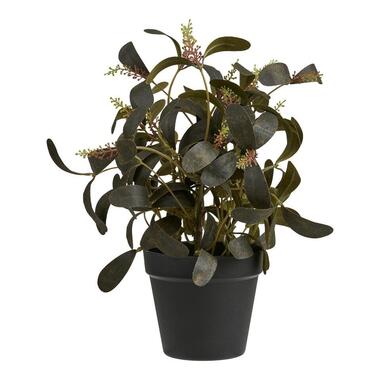 Hioshop Yria kunstplant hoogte 35cm groen