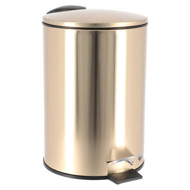 Tendance Prullenbak/vuilnisbak - 3L - goud - metaal - H24 cm