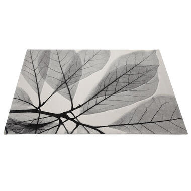 Dutch Lifestyle vloerkleed Leaves multicolor - 160x230cm