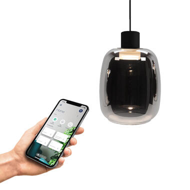 EGLO connect.z Molochio Z Hanglamp LED Glas Zwart