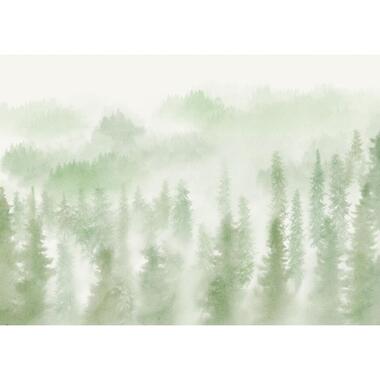 Komar fotobehang bosrijk landschap groen - 250 x 350 cm