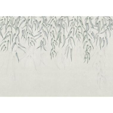 Komar fotobehang bladeren vergrijsd groen - 250 x 350 cm