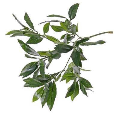 Bellatio flowers & plants Kunstblad - larierblad - groen - 48 cm product