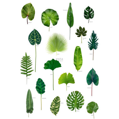 ESTAhome fotobehang - tropisch junglegroen - 1.86 x 2.79 m product