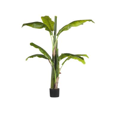 BANANA TREE - Kunstplant - Groen - Synthetisch materiaal product
